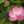 yoppi0128