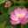 yoppi0128