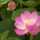 yoppi0128 yoppi0128