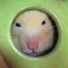 いぶ母ちゃん