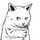 しらすうお