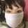 ふふふのりか