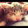CHACHA0307