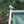 mrs.melonpan