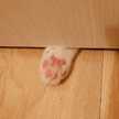 つんつるてん