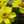 クックBX3FZW☆