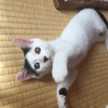 さっち322