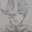 彩ーAyaー