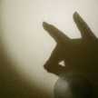 HENRY_W