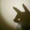 HENRY_W