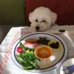 黒米おはぎ