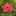 55_PY