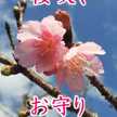 やすみずまま