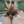 nontan_0812