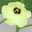 Hamhamhamu