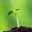 YumePLANTS