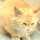 よわねこ