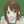 アルクラの釜戸