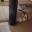 ザリちゃんママ
