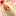 うかれうさ うかれうさ