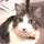 きゃららっこ きゃららっこ