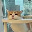 おとうふのだいどころ