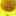 コキたまご コキたまご
