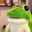 アマミアオガエル