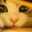 meow_0w0