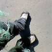 nicof