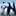 fleurs_15 fleurs_15
