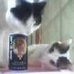 putit☆happy