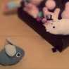 neeboo♬♪