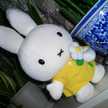 miffy.love