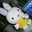 miffy.love