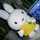 miffy.love miffy.love