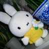 miffy.love