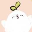 あおきみお