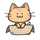 CATⅢ CATⅢ