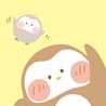 mochicook