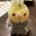 鳥好き♬ 鳥好き♬