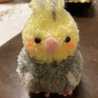 鳥好き♬