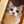 ぽえよん