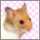 U瑠璃U U瑠璃U