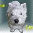 lovek