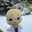 Eichi3