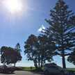 ♡NZ♡