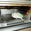 039cook