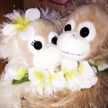 Hawaiifura