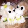 Hawaiifura